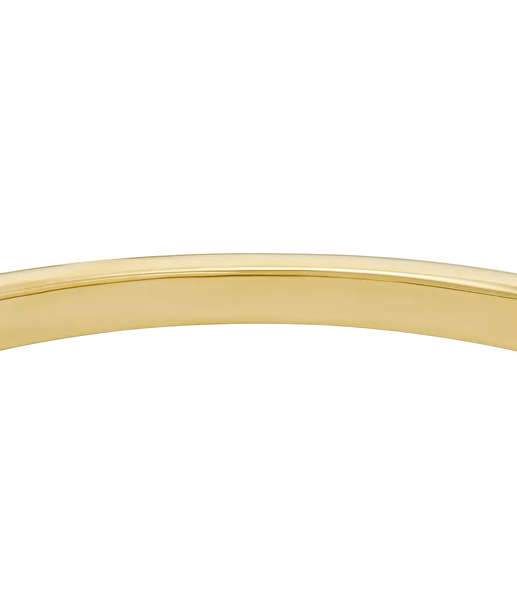 Pevný pozlacený náramek se srdíčkem Sadie JF04831710