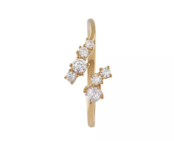 Otevřený pozlacený prsten Jardin JSBR04473JWYG