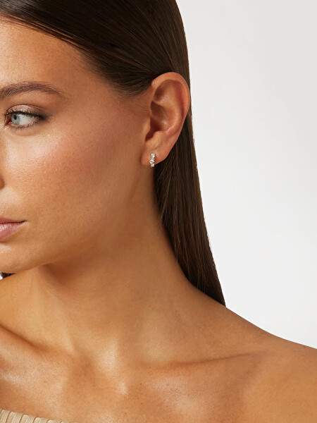 Stříbrné kruhy s kubickými zirkony Jardin JSBE04467JWRHT/U