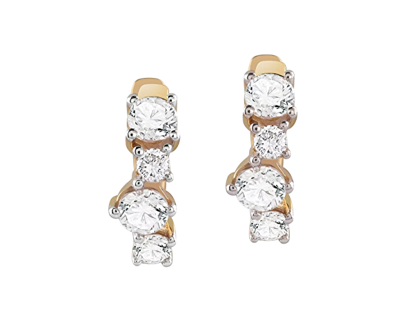 Pozlacené kruhy se zirkony Jardin JSBE04462JWYGT/U