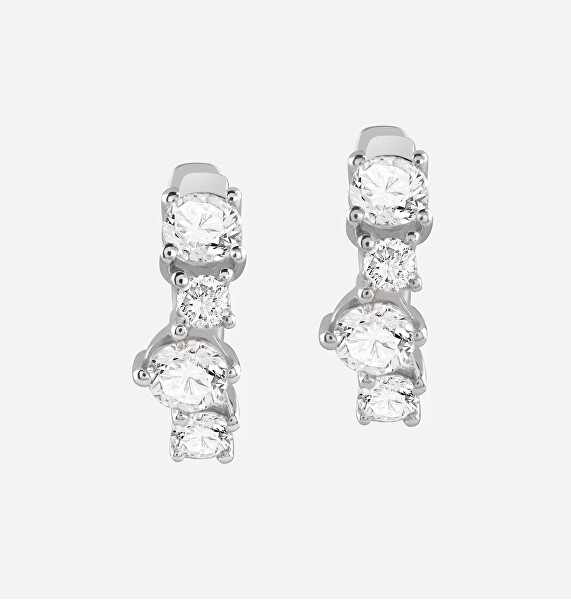 Stříbrné kruhy s kubickými zirkony Jardin JSBE04467JWRHT/U