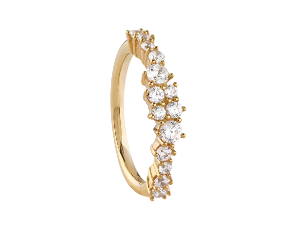 Pozlacený prsten se zirkony Jardin JSBR04480JWYG