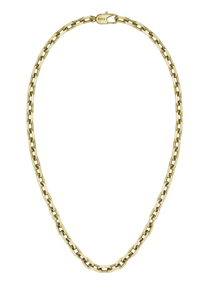 Moderní pozlacený náhrdelník pro muže 1580534