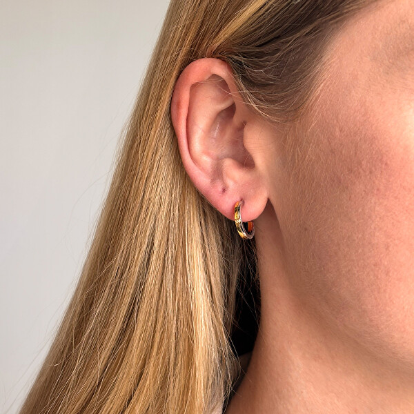 Něžné bicolor náušnice s diamanty Parellel DE863