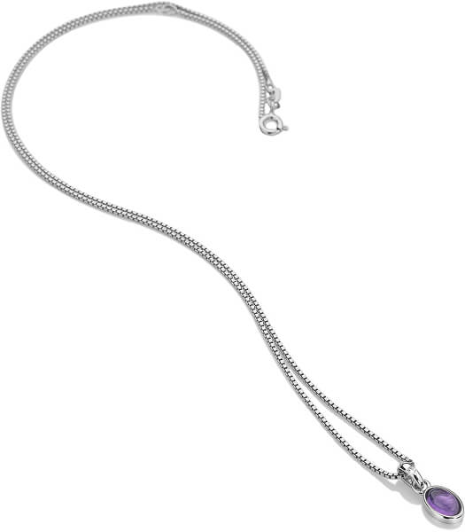Strieborný náhrdelník pre narodené vo februári Birthstone DP755