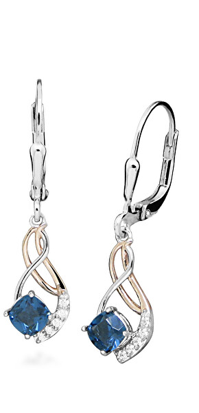 Eleganti orecchini in argento bicolore con zirconi SVLE0637SH8M100