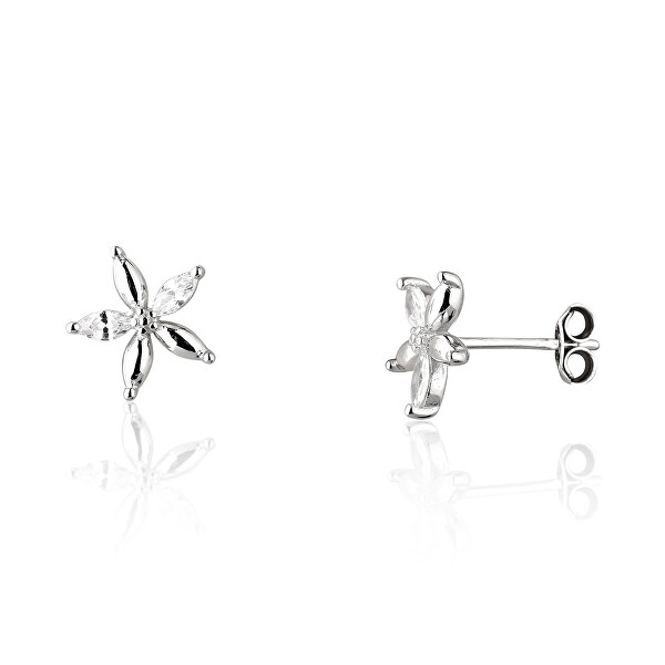 Splendidi orecchini in argento con zirconi SVLE1464XE9BI00