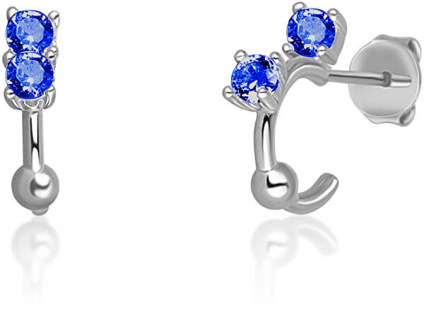 Silberne Ohrringe kreisen mit blauen Zirkonen SVLE0701XH2M100