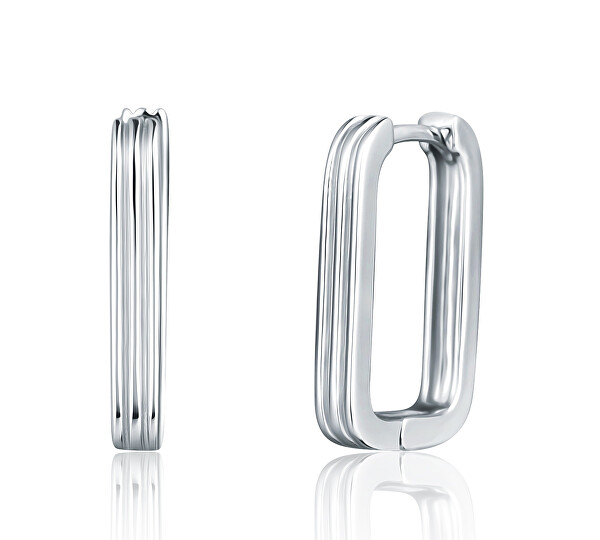 Eleganti orecchini ovali in argento SVLE1894X750000