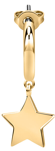 Single vergoldeter Ohrring Stern LPS02ARQ39