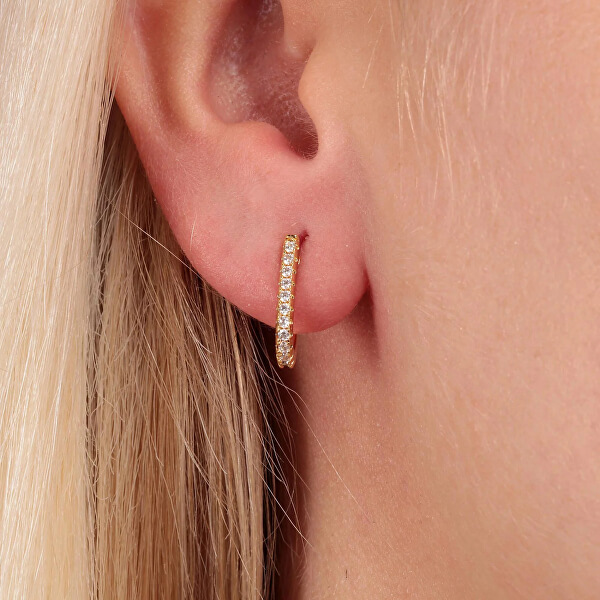 Halbkreisförmiger Ohrring mit Kristallen LPS02ARQ148