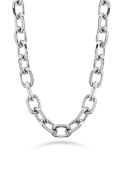 Nepřehlédnutelný dámský náhrdelník oceli Fashion LJ2333