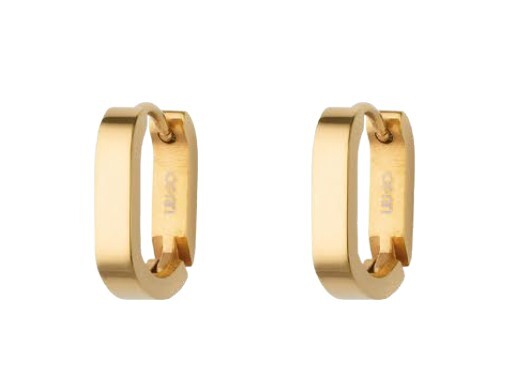 Něžné pozlacené oválné náušnice LJ3006