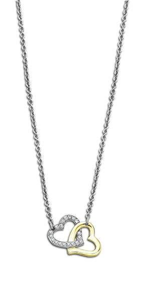 Romantický oceľový bicolor náhrdelník Woman`s Heart LS2117-1 / 1