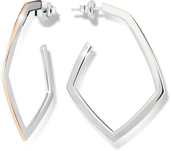Silberne zweifarbige Ohrringe M26011