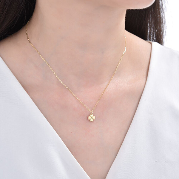 Dámský stříbrný náhrdelník Čtyřlístek pro štěstí N0001089