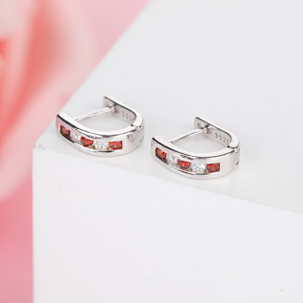 Eleganti orecchini in argento con zirconi trasparenti e rossi E0000177