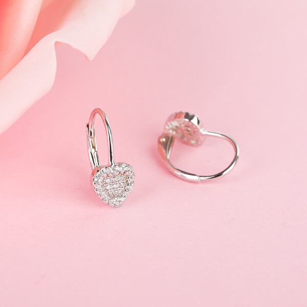 Romantici orecchini a cuore in argento con zirconi E0000560