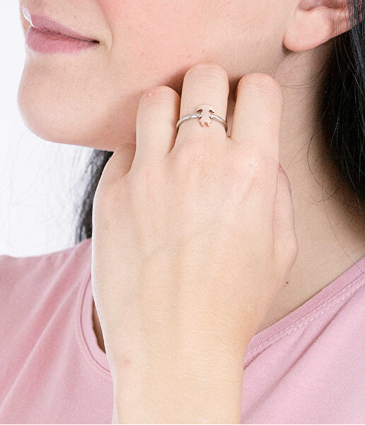 Oceľový prsteň Love Rings SNA43