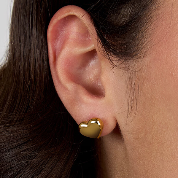 Pozlacené náušnice Srdíčka Intrecci SAZC16