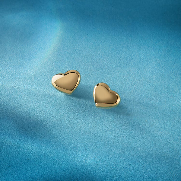 Pozlacené náušnice Srdíčka Intrecci SAZC16
