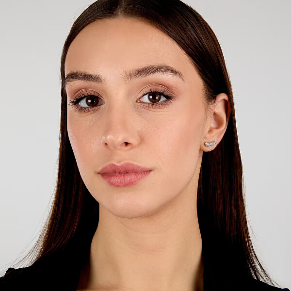 Třpytivé podélné náušnice z oceli Design SAYP12