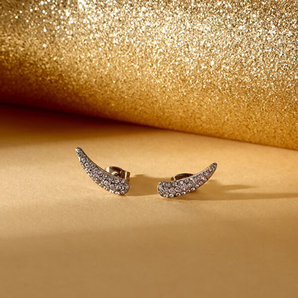 Třpytivé podélné náušnice z oceli Design SAYP12