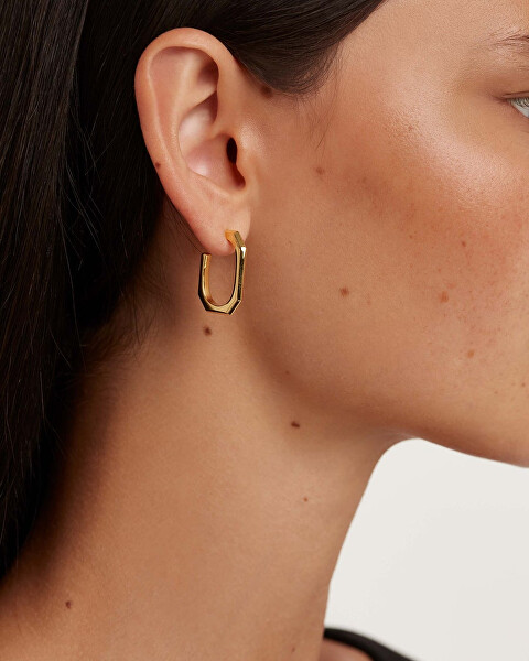 Eleganti orecchini placcati oro SIGNATURE LINK Gold AR01-415-U