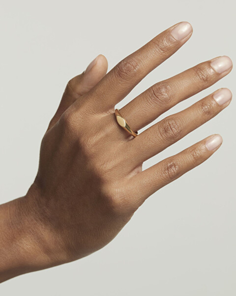 Minimalista aranyozott gyűrű Duke Vanilla AN01-A54