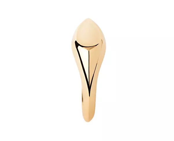 Nadčasový pozlacený prsten Devi Vanilla AN01-A53