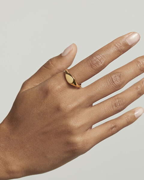 Nadčasový pozlátený prsteň Devi Vanilla AN01-A53