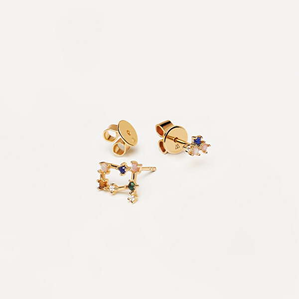 Zarte vergoldete Ohrringe aus Sterlingsilber Zwillinge GEMINI AR01-406-U