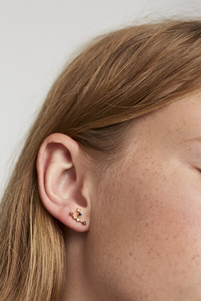 Gyengéd aranyozott ezüst fülbevalók Bika TAURUS AR01-405-U