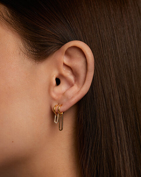 Originelle Ohrringe aus vergoldetem Silber Nexa Essentials AR01-828-U