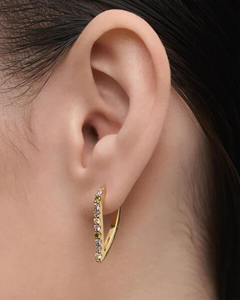 Pozlacené náušnice Gloss Hoops ARB1-G26-U