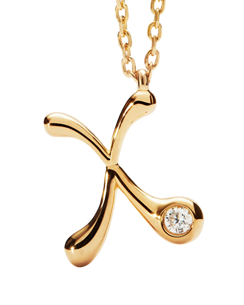 Pozlátený náhrdelník písmeno "X" Initial CO01-B97-U (retiazka, prívesok)