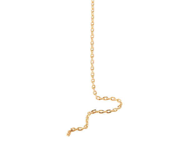 Pozlacený náhrdelník Tessa Essentials CO01-975-U (řetízek, přívěsek)