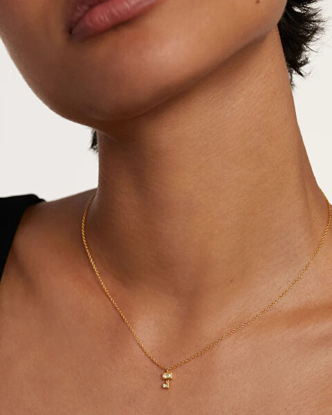 Charmante vergoldete Halskette KEY CO01-486-U (Halskette, Anhänger)