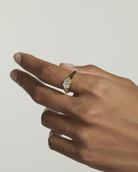 Pôvabný pozlátený prsteň so zirkónmi Vanilla AN01-A51
