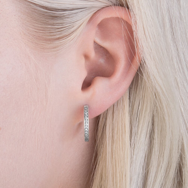 Silber Ohrringe mit Kristallen 290558CZ