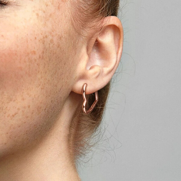 Bronze Ohrringe Herzen 288307
