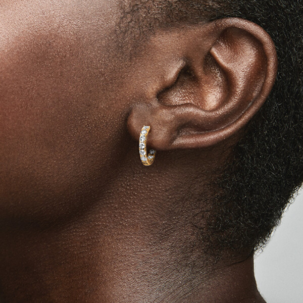 Elegantní pozlacené kruhy se zirkony Timeless Shine 263002C01