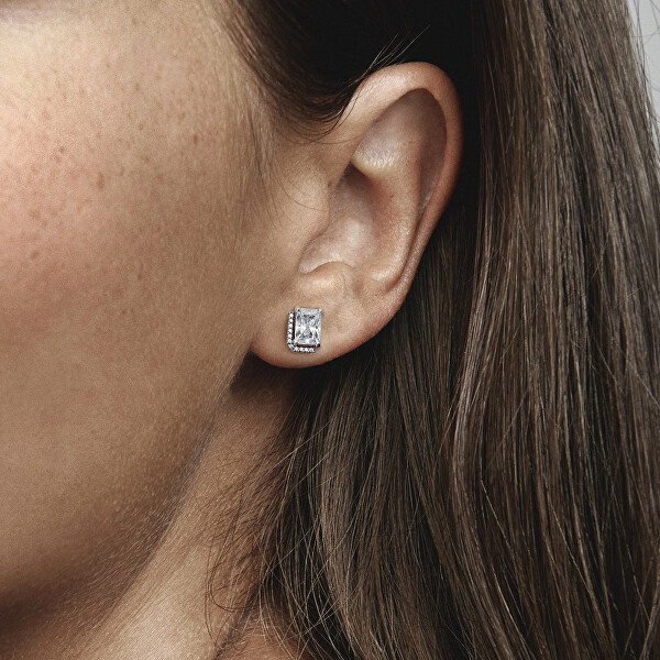 Splendidi orecchini in argento con zirconi chiari 292380C01