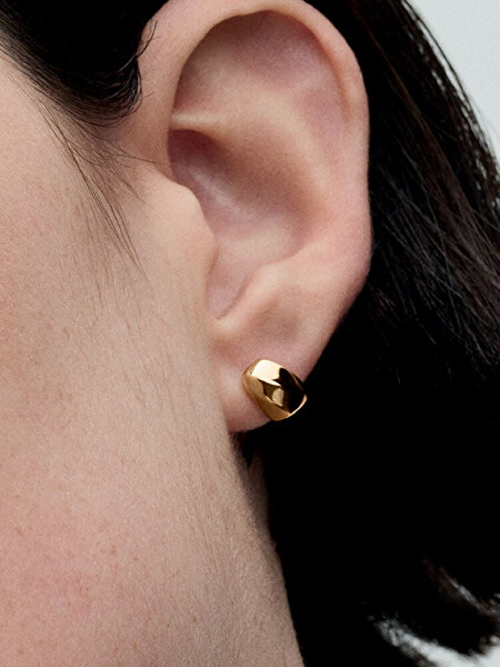 Pozlacené peckové náušnice Essence Shine 263298C00