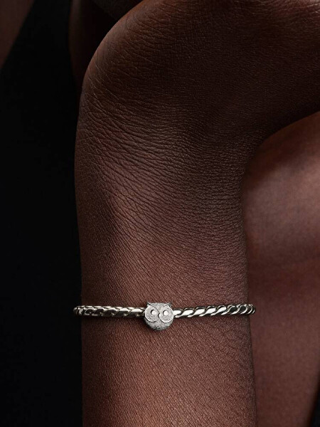 Stříbrný mini korálek Sova Moments 794525C00