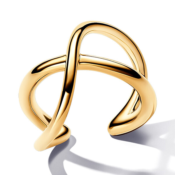 Pozlacená záušnice Nekonečno Essence Shine 263308C00