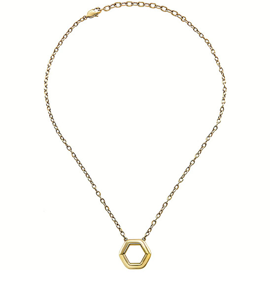 Moderný dámsky náhrdelník z ocele Hexagonia TJ3507