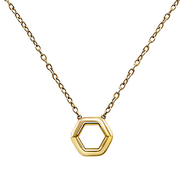 Moderný dámsky náhrdelník z ocele Hexagonia TJ3507