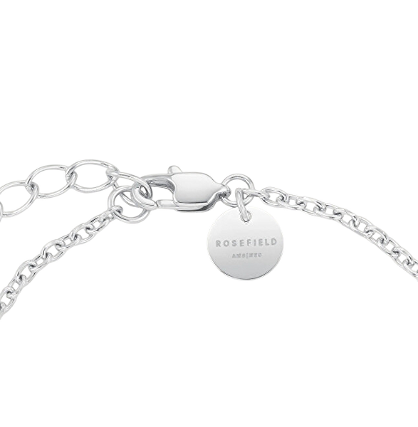 Slušivý ocelový náramek s krystaly Pavé JBPLG-J1239