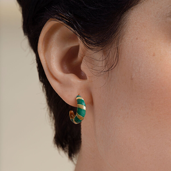 Eleganti orecchini tondi placcati oro Emerald JEECG-J717